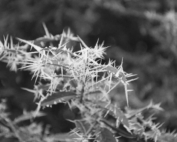 Bloggerfactory spatipro PR Relations (15 von 18)